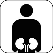 Urology symbol,artwork