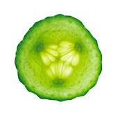 Cucumber slice