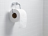 Toilet paper holder and roll
