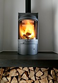 Wood-burning stove