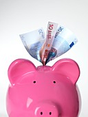 Piggy bank and euros