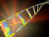 DNA circuitry strand,conceptual artwork