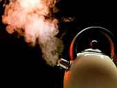Boiling kettle