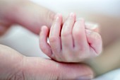 Premature baby's hand