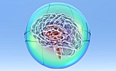 Brain in sphere,computer artwork