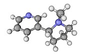Nicotine drug molecule