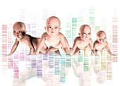 Human cloning,artwork
