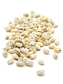 Pearl barley