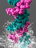 DNA molecule,artwork