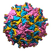Nodamura virus particle,molecular model