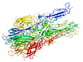 Semliki forest virus fusion protein