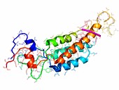 Tobacco mosaic virus capsid protein