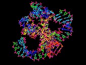 Hammerhead ribozyme molecule