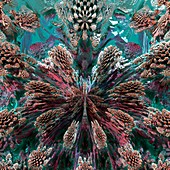Mandelbulb fractal