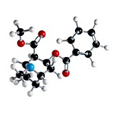 Cocaine drug molecule