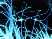 Neural network,computer artwork