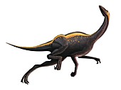 Artwork of an ornithomimus dinosaur
