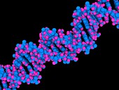 DNA molecule,artwork