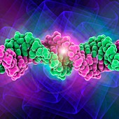 DNA molecule,artwork