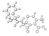 Cephalexin antibiotic molecule