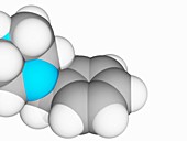 Molecular model