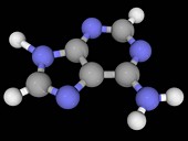 Adenine molecule
