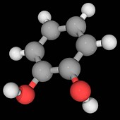 Catechol molecule