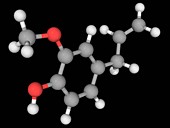 Eugenol molecule
