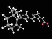Isotretinoin drug molecule