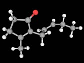 Jasmone molecule