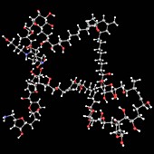 Palytoxin poison molecule