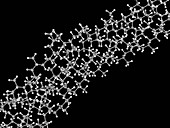Polypropylene molecule