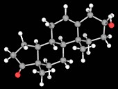 Prasterone hormone molecule
