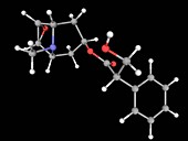 Scopolamine drug molecule