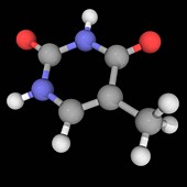 Thymine molecule