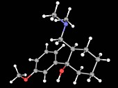 Tramadol drug molecule