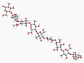 Chitosan molecule