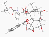 Docetaxel drug molecule