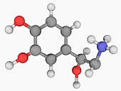 Norepinephrine molecule