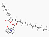 Orlistat drug molecule