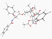 Paclitaxel drug molecule