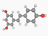 Resveratrol molecule