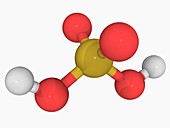Sulfuric acid molecule