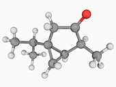 Thujone molecule