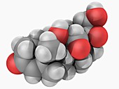 Aldosterone hormone molecule