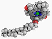 Chlorophyll B molecule