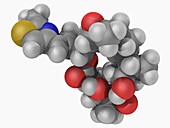 Epothilone B drug molecule