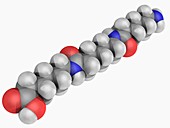 Nylon molecule