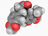 Podofillotoxin molecule