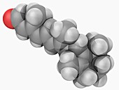 Retinal vitamin A molecule